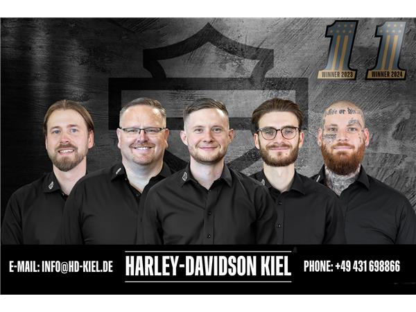 Harley-Davidson FLD Dyna Switchback - Kesstech -