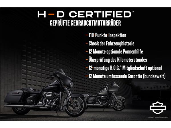 Harley-Davidson FLFBS FAT BOY SOFTAIL 114 CUI - Screaming Eagle