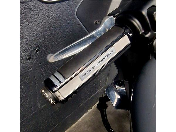 2023 HARLEY-DAVIDSON LOW RIDER