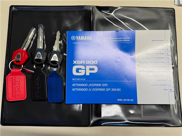 2024 YAMAHA XSR900 GP