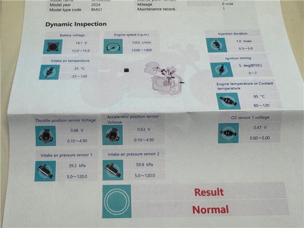 2024 YAMAHA XSR900 GP