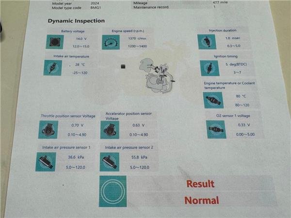 2024 YAMAHA XSR900 GP
