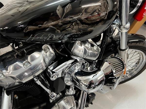 2021 HARLEY-DAVIDSON STANDARD