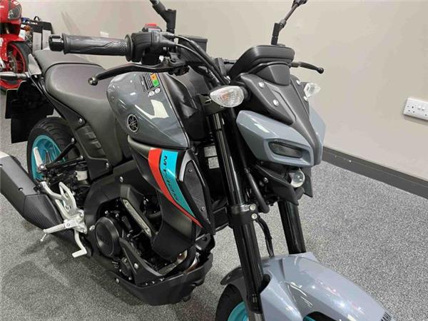 2023 Yamaha MT 125 Grey