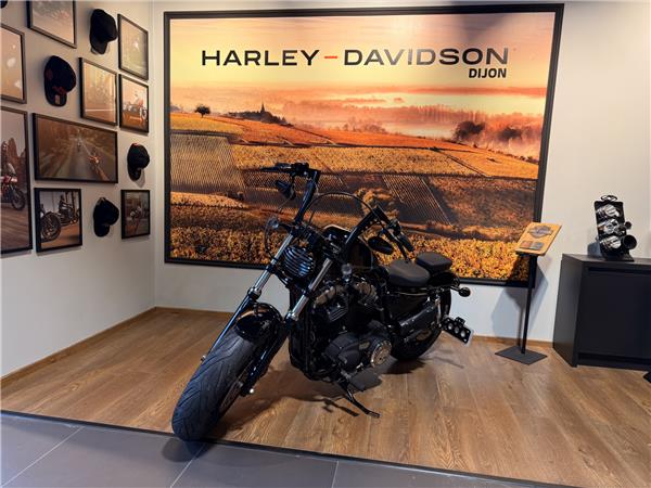 2011 HARLEY-DAVIDSON FORTY EIGHT