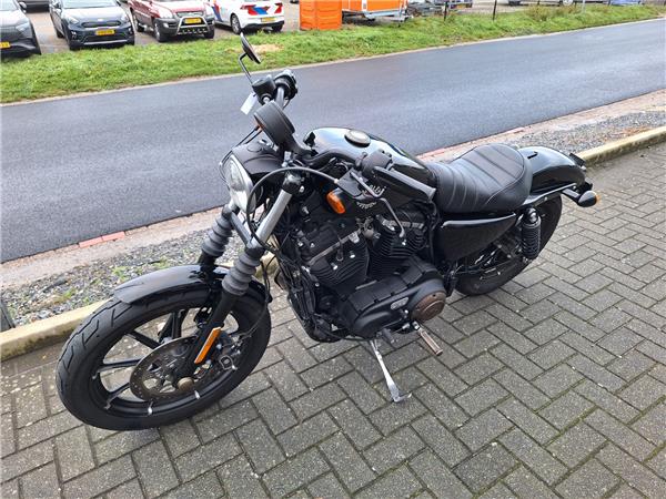 2020 Harley-Davidson XL883 N Iron