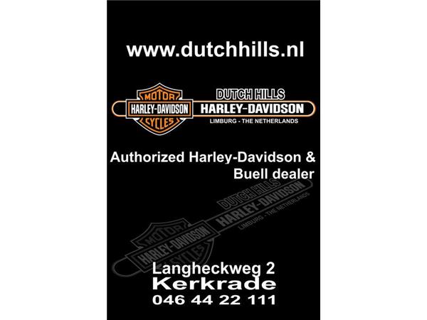 2020 Harley-Davidson XL883 N Iron