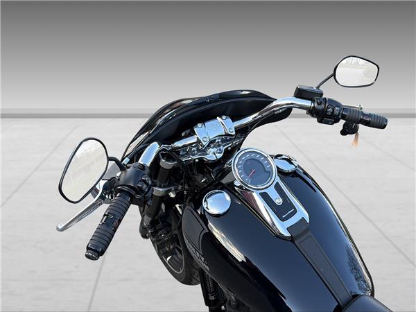 2021 harley-davidson FLSB Sport Glide 107