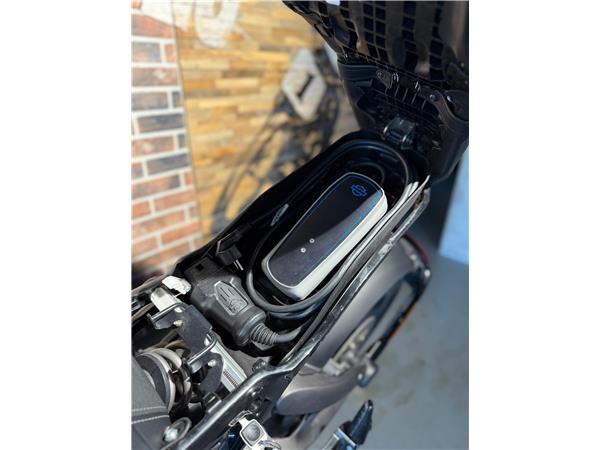 2020 harley-davidson Live Wire