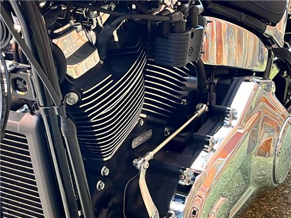 2024 Harley-Davidson Softail