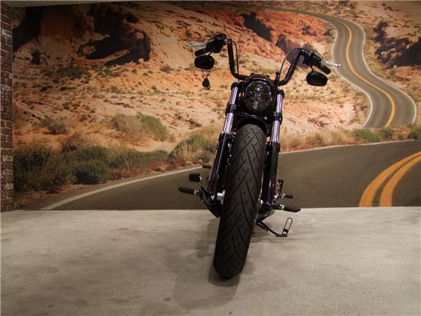 2021 harley-davidson FXBRS 1868 Breakout 114