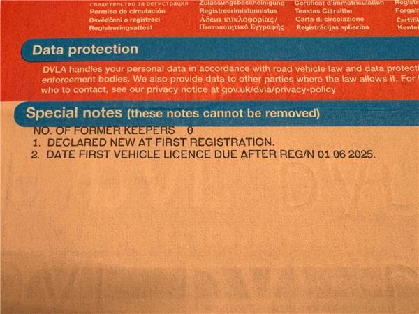 2024 YAMAHA XSR900 GP