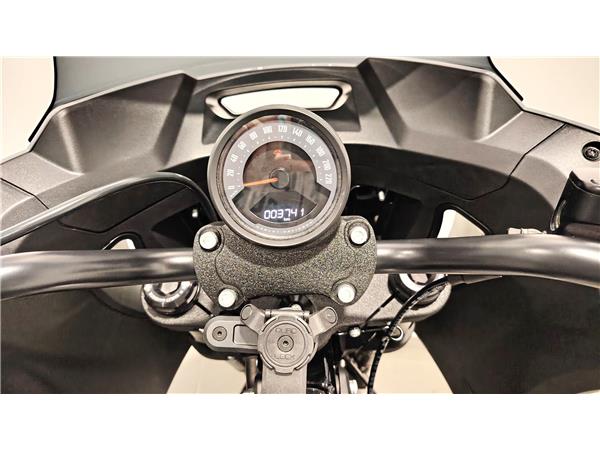 Harley-Davidson Softail-Cruiser