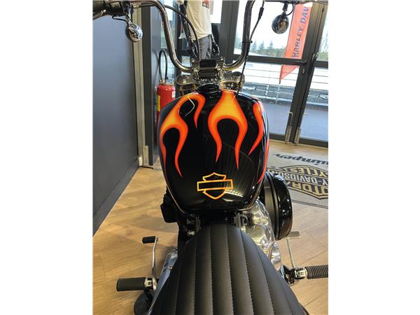 2024 HARLEY-DAVIDSON STANDARD