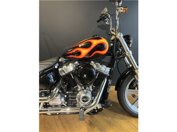 2024 HARLEY-DAVIDSON STANDARD