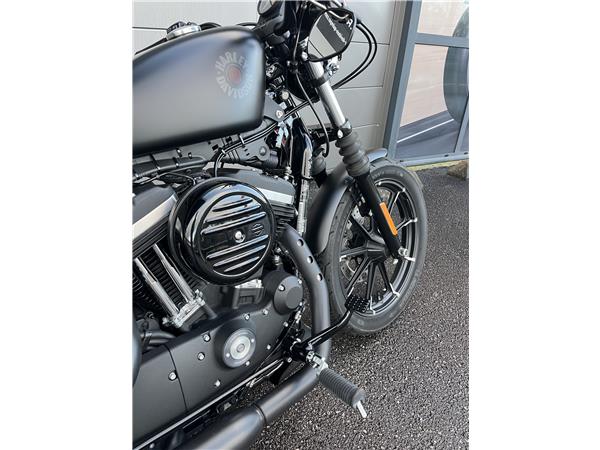2019 HARLEY-DAVIDSON IRON