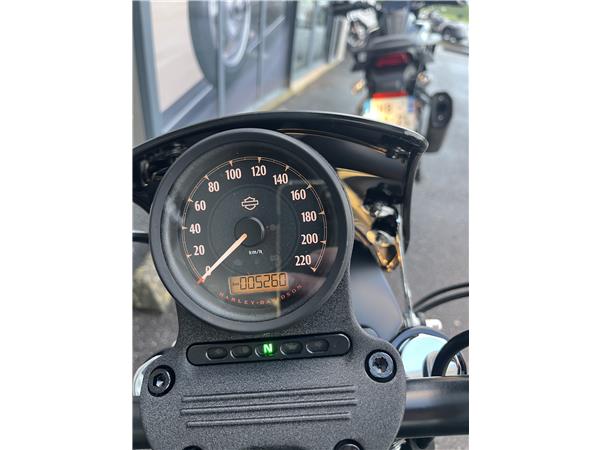 2019 HARLEY-DAVIDSON IRON