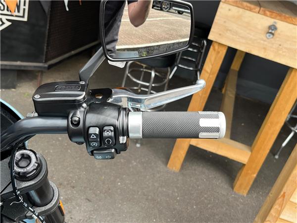 2024 Harley-Davidson Softail