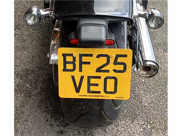 2025 Harley-Davidson Softail