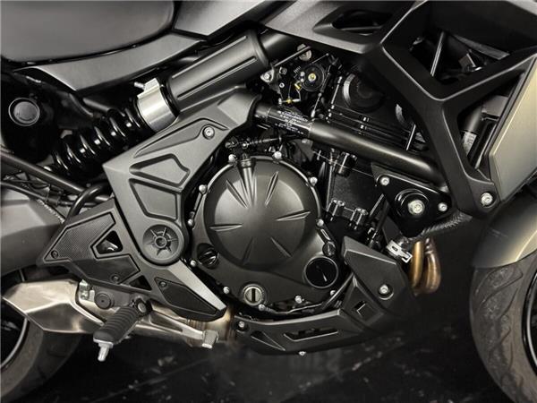 2024 Kawasaki Versys 650