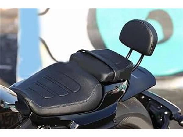 2021 harley-davidson RH 1250 S Sportster S