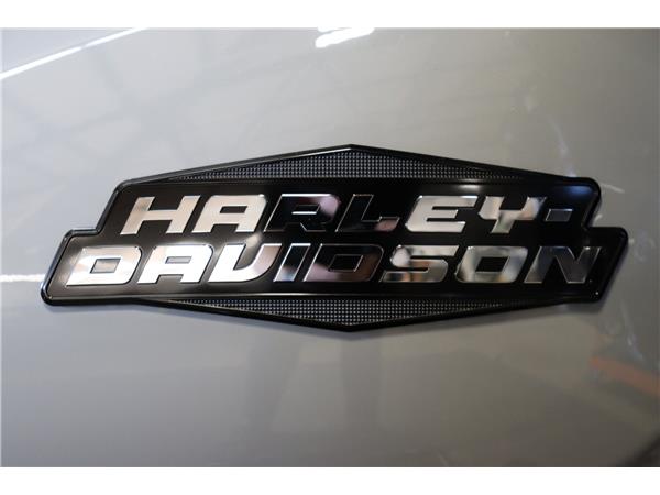 2025 HARLEY-DAVIDSON TOURING FLRT ROAD GLIDE