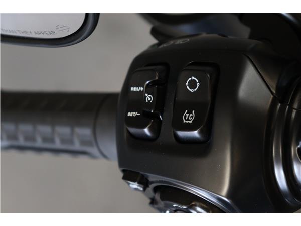 2025 HARLEY-DAVIDSON TOURING FLRT ROAD GLIDE