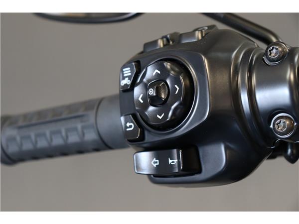 2025 HARLEY-DAVIDSON TOURING FLRT ROAD GLIDE