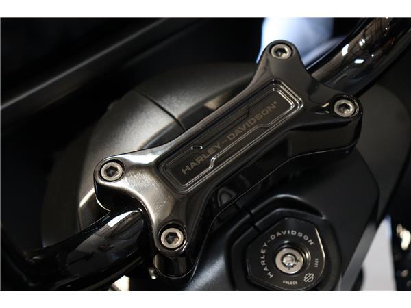 2025 HARLEY-DAVIDSON TOURING FLRT ROAD GLIDE