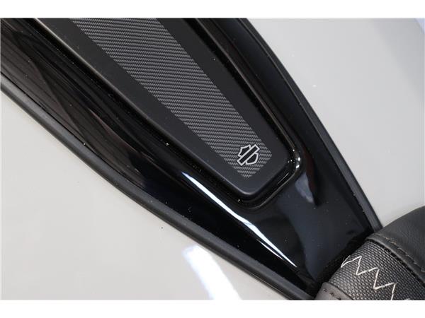 2025 HARLEY-DAVIDSON TOURING FLRT ROAD GLIDE