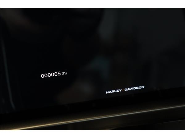 2025 HARLEY-DAVIDSON TOURING FLRT ROAD GLIDE
