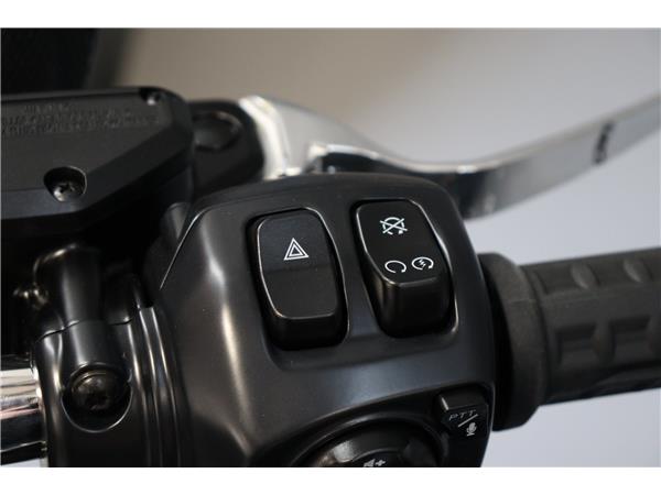 2025 HARLEY-DAVIDSON TOURING FLHXU STREET GLIDE ULTRA