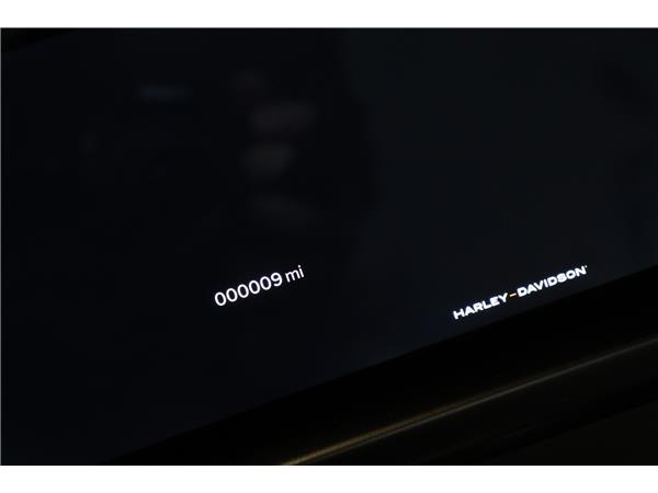 2025 HARLEY-DAVIDSON TOURING FLHXU STREET GLIDE ULTRA