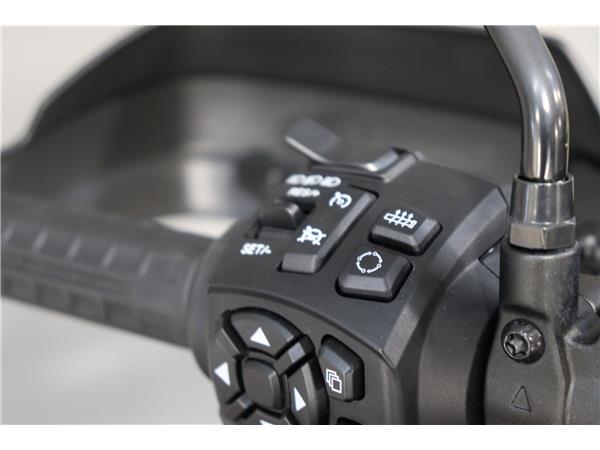 2024 HARLEY-DAVIDSON ADVENTURE TOURING RA1250S PAN AMERICA 1250 SPECIAL