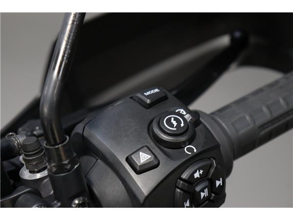 2024 HARLEY-DAVIDSON ADVENTURE TOURING RA1250S PAN AMERICA 1250 SPECIAL