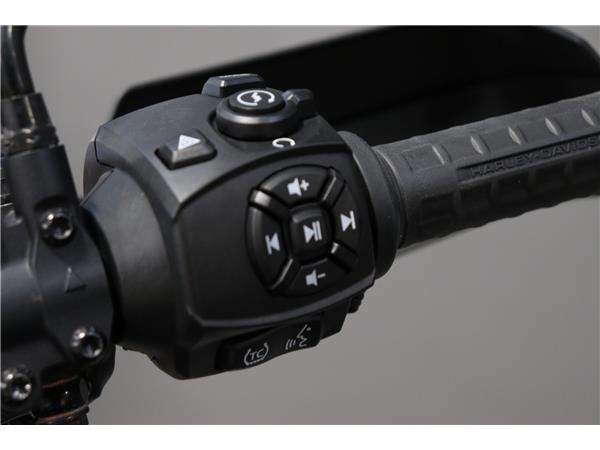 2024 HARLEY-DAVIDSON ADVENTURE TOURING RA1250S PAN AMERICA 1250 SPECIAL