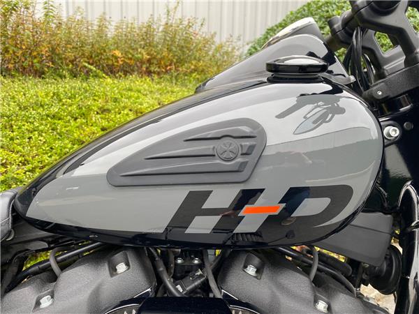 2024 HARLEY-DAVIDSON FAT BOB