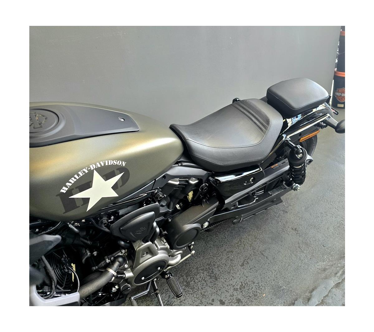 Nightster 