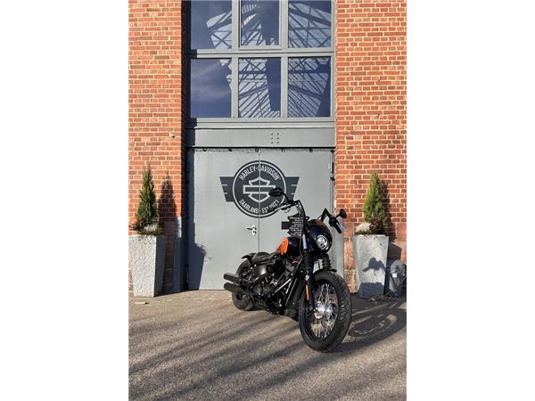 Street Bob 200er Thunderbike 