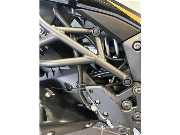 2025 Kawasaki Versys 1100