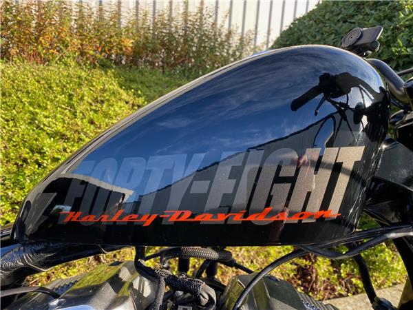 2014 HARLEY-DAVIDSON FORTY EIGHT