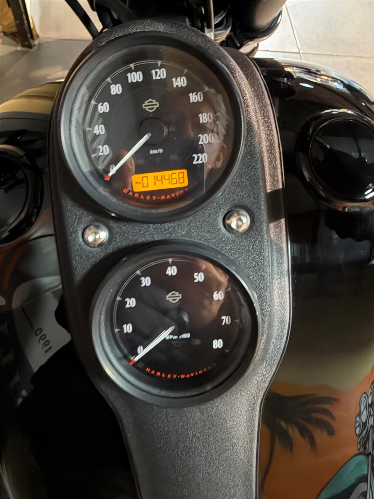 2016 HARLEY-DAVIDSON LOW RIDER