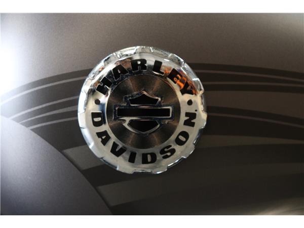 2017 HARLEY-DAVIDSON SOFTAIL FXSB BREAKOUT