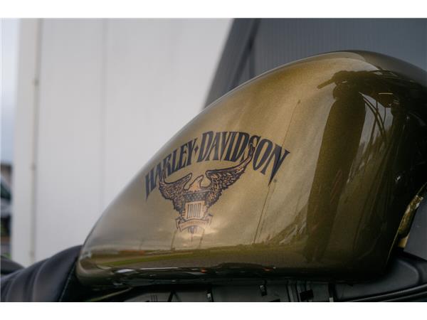 2016 Harley-Davidson Iron 883