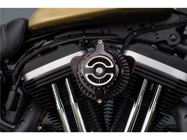 2016 Harley-Davidson Iron 883