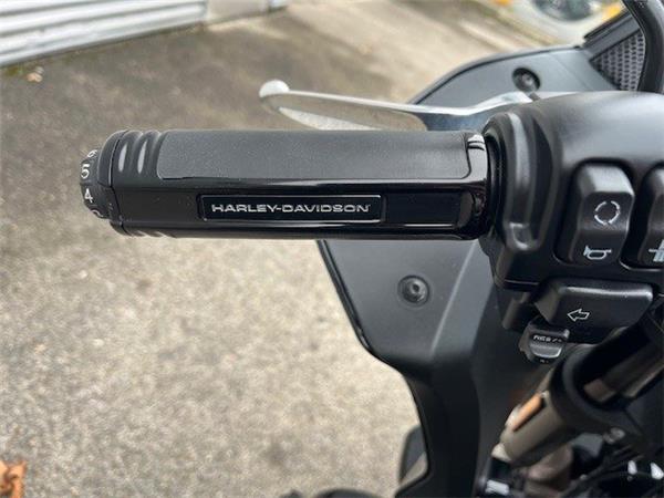 2023 Harley-Davidson Softail Low Rider ST