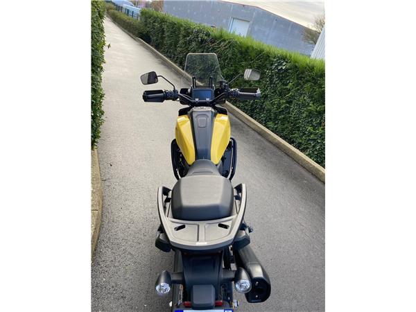 2024 HARLEY-DAVIDSON PAN AMERICA