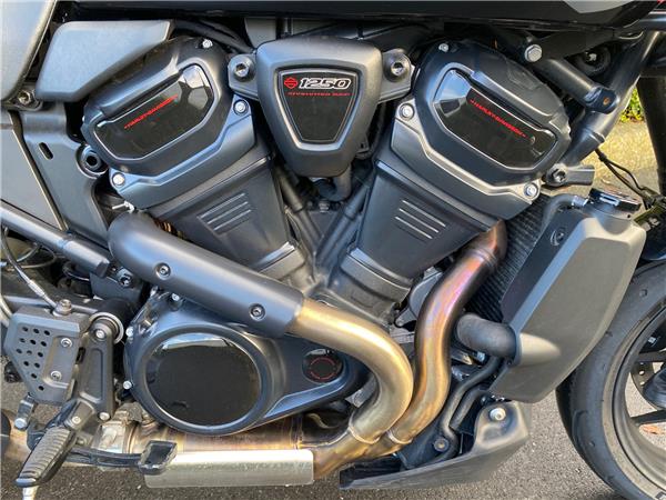 2025 HARLEY-DAVIDSON PAN AMERICA