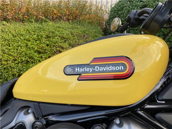 2023 HARLEY-DAVIDSON NIGHTSTER