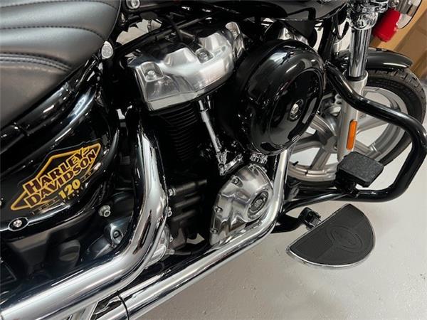 2023 HARLEY-DAVIDSON STANDARD